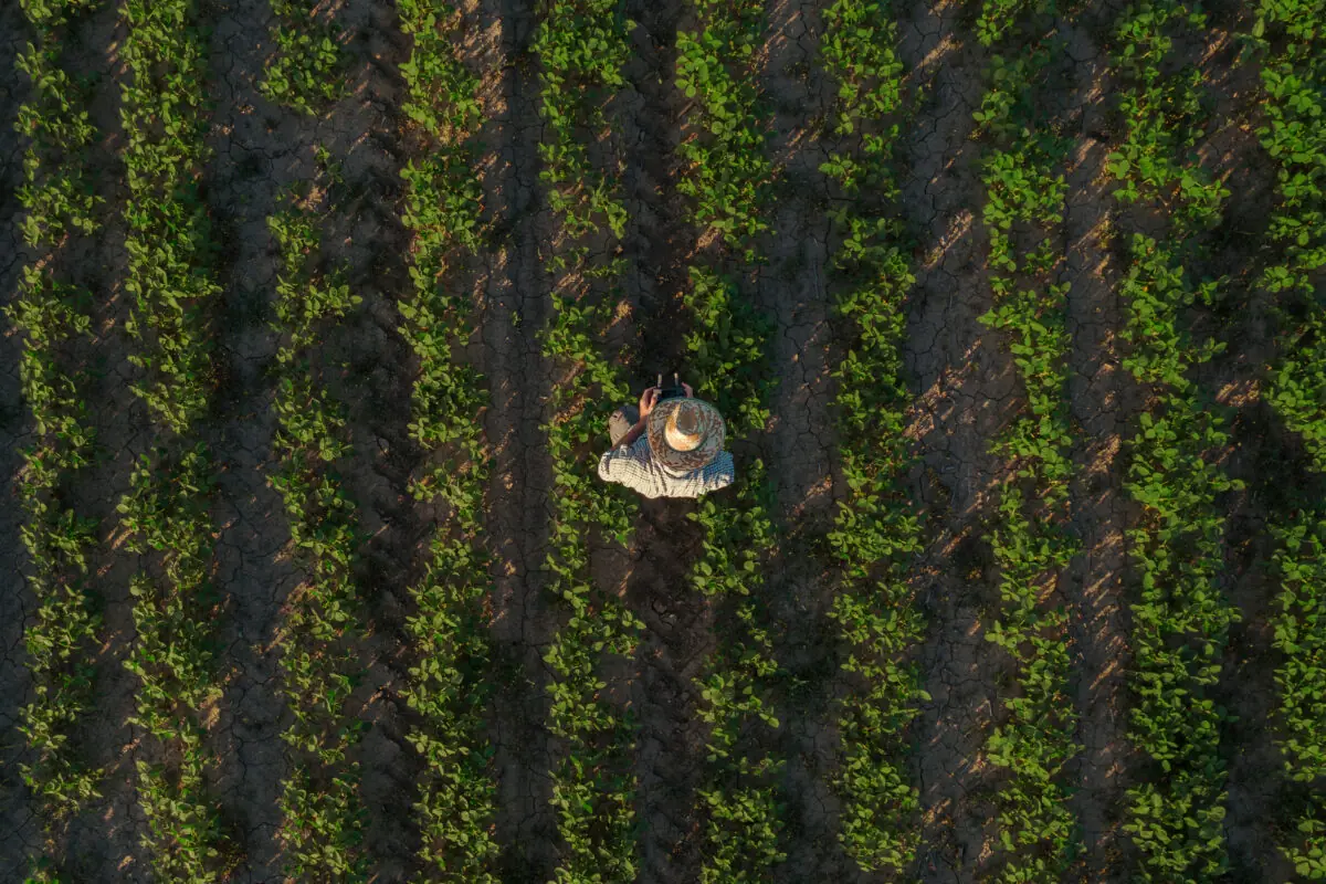 Small farm field in the Paso Robles area